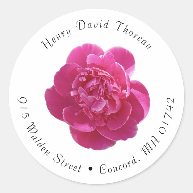 Lebhafte Rosa Peony Blume Round Address Labels Runder Aufkleber (Vorderseite)