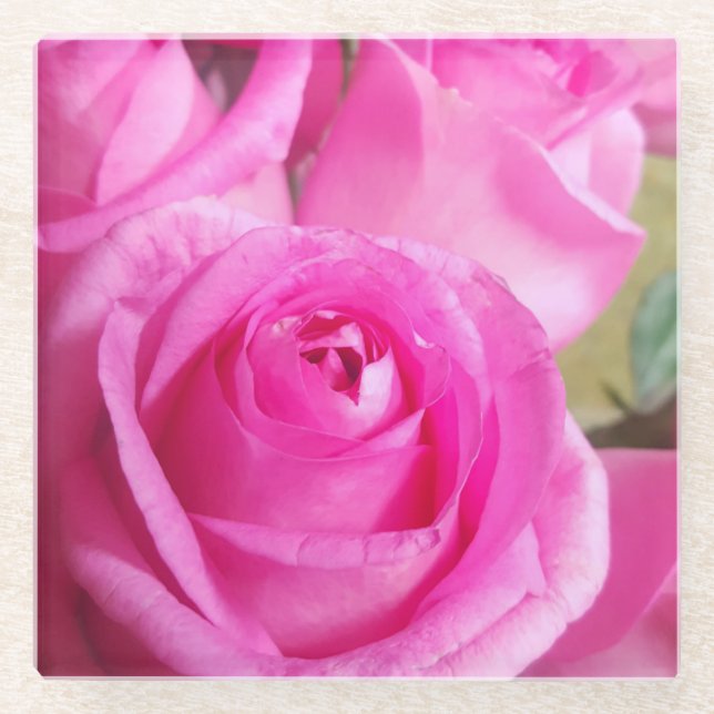 Lebhafte rosa Rosen Glasuntersetzer (Vorderseite)