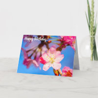 Lebhafte rosa Sakura-Blüten und ein klarer blauer 