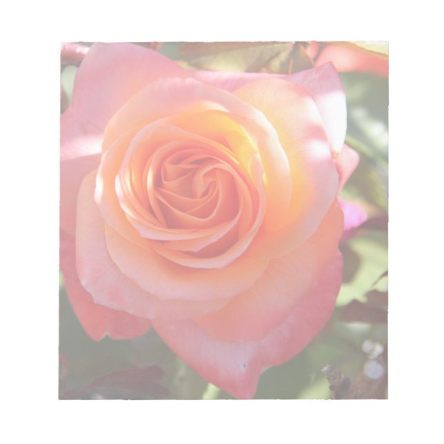 Lebhafte Rose Notizblock (Vorderseite)