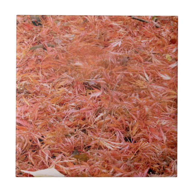 Lebhafte rote Herbstreben Fliese (Vorderseite)