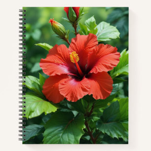 Lebhafte Rote Hibiskus-Blume mit Blätter-4369 Notizbuch