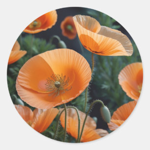 Lebhafte Rote Poppy-Blume Runder Aufkleber