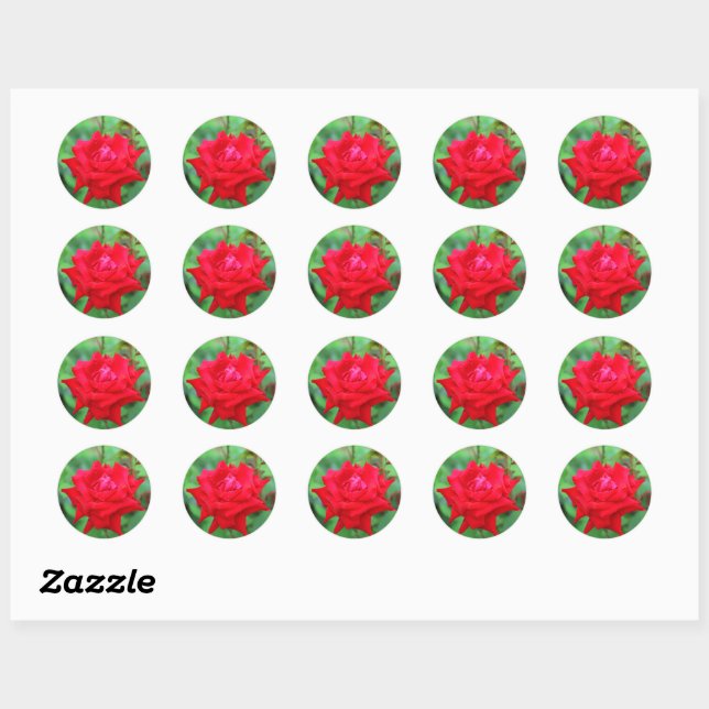 Lebhafte Rote Rose Runder Aufkleber (Blatt)