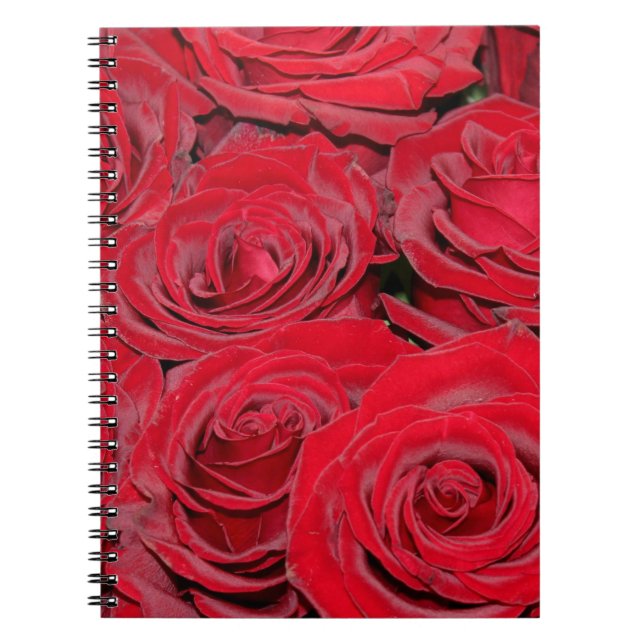 Lebhafte Rote Rosen Notizblock (Vorderseite)