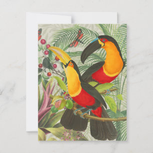 Lebhafte tropische Vögel Kunst Exotischer Dschunge Postkarte