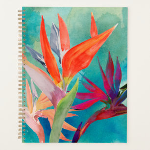 Lebhafte Vögel im Paradies Planer