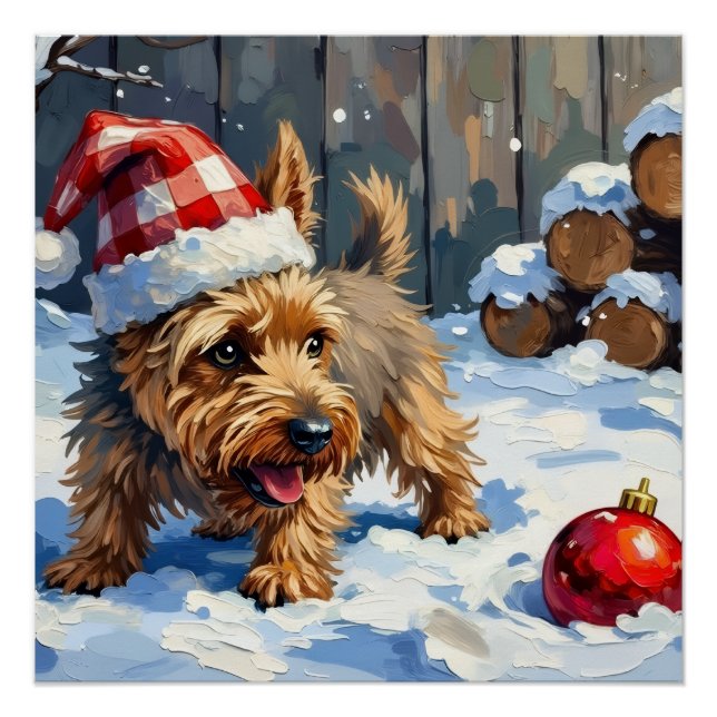 Lebhafter Cairn Terrier Hund gräbt nach Weihnachte Poster (Vorderseite)