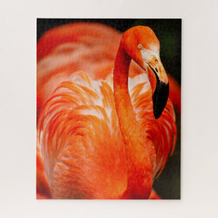 Lebhafter Flamingo Wildlife Bird Puzzle