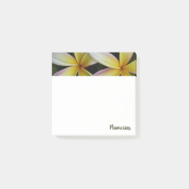 Lebhafter Hawaiian Plumerias Square Post-it Klebezettel