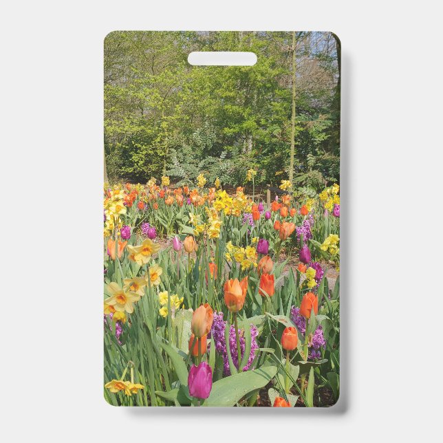 Lebhafter Holland Tulip Garden Ausweis (Vorderseite)