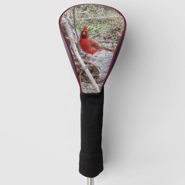 Lebhafter Kardinal Golf Headcover (Vorderseite)