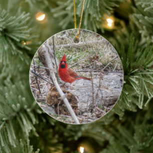 Lebhafter Kardinal Keramik Ornament