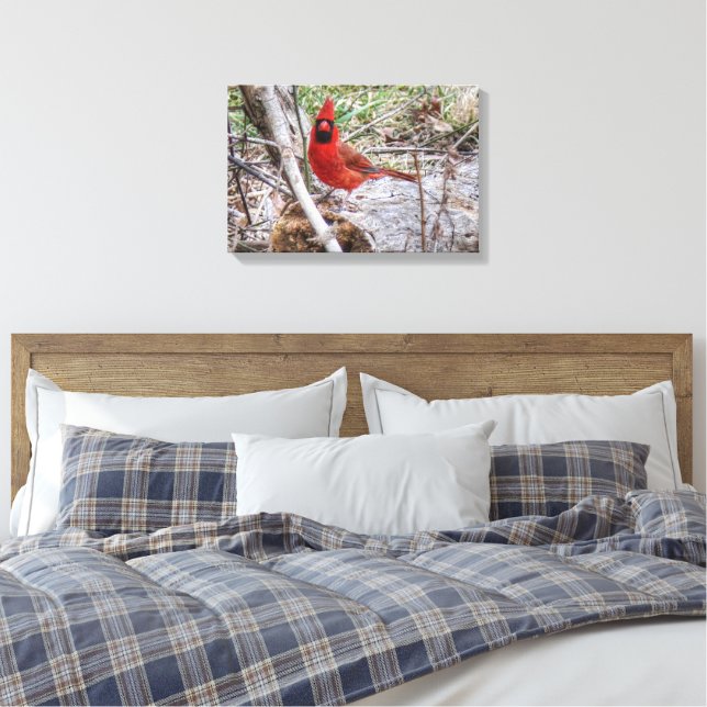 Lebhafter Kardinal Leinwanddruck (Insitu (Schlafzimmer))