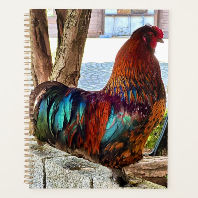 Lebhafter Rooster-Custom-Planer Planer (Vorderseite)