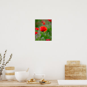 Lebhafter Roter Mohn auf Wiesen mit Wildblumen Poster