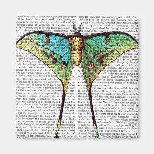 Lebhafter Schmetterling Magnet