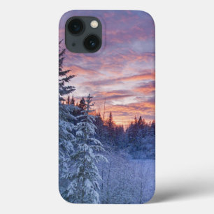 Lebhafter Sonnenuntergang malt den Himmel über win Case-Mate iPhone Hülle