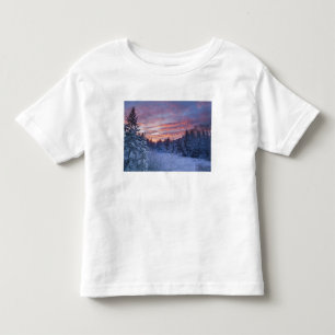 Lebhafter Sonnenuntergang malt den Himmel über win Kleinkind T-shirt