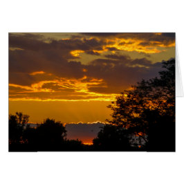 Lebhafter Sonnenuntergang mit fliegendem Vogel