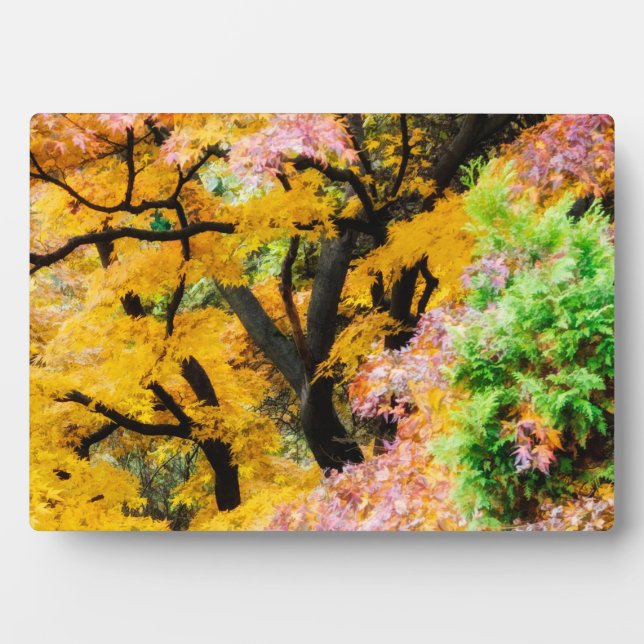 Lebhafter Zen Garden Fotoplatte (Vorderseite)