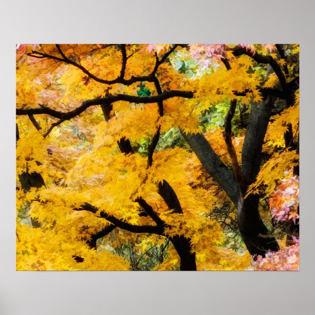 Lebhafter Zen Garden Poster (Vorne)