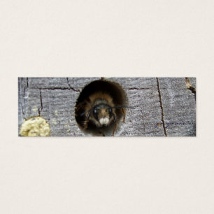 lebhaftes Bienensterben-Lesezeichen