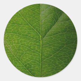 Lebhaftes Green Leaf Round Sticker - Nature's Beau