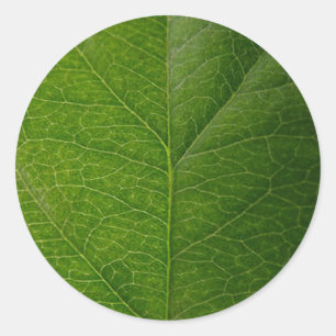 Lebhaftes Green Leaf Round Sticker - Nature's Beau