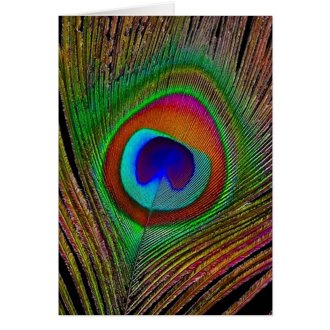 Lebhaftes Kupfer Peacock Feather (Vorne)