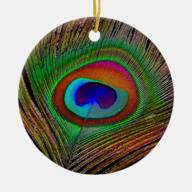 Lebhaftes Kupfer Peacock Feather Keramik Ornament (Vorne)