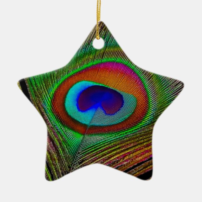 Lebhaftes Kupfer Peacock Feather Keramikornament (Vorne)