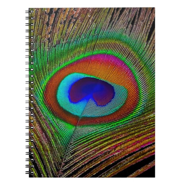 Lebhaftes Kupfer Peacock Feather Notizblock (Vorderseite)