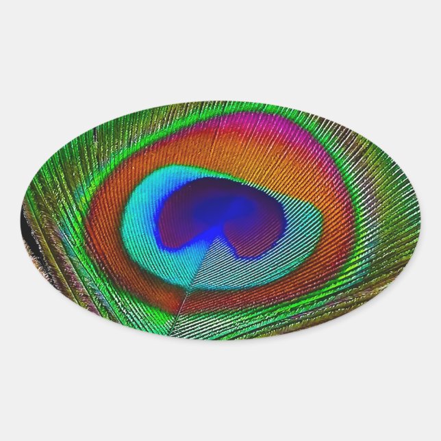 Lebhaftes Kupfer Peacock Feather Ovaler Aufkleber (Vorderseite)