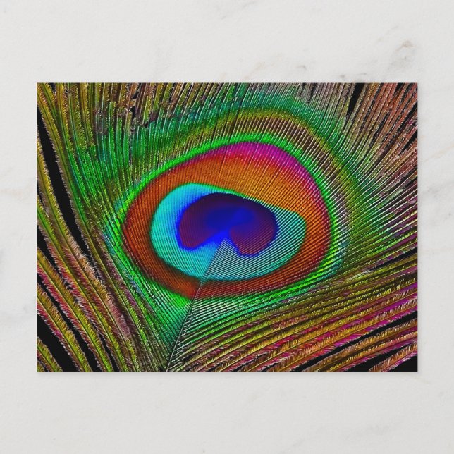 Lebhaftes Kupfer Peacock Feather Postkarte (Vorderseite)