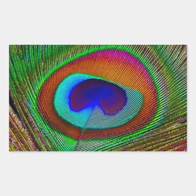 Lebhaftes Kupfer Peacock Feather Rechteckiger Aufkleber (Vorderseite)