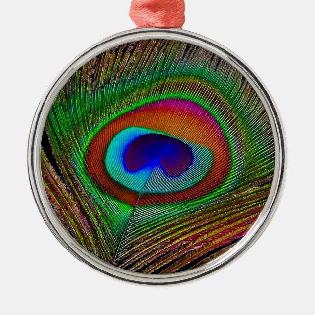 Lebhaftes Kupfer Peacock Feather Silbernes Ornament (Vorne)