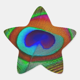 Lebhaftes Kupfer Peacock Feather Stern-Aufkleber