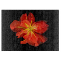 Lebhaftes Orange Begonia Macro