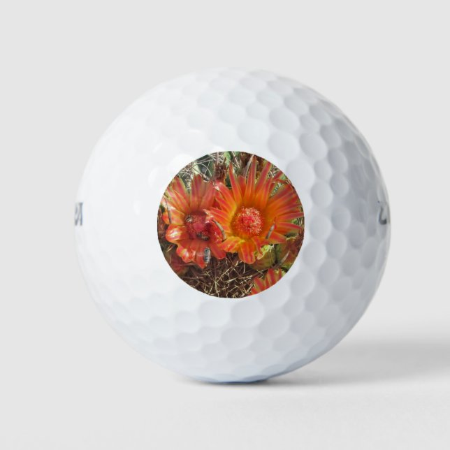 Lebhaftes Orange Cactus Blume Nah-up Foto Golfball (Vorderseite)