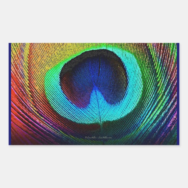 Lebhaftes Peacock Feather Rechteckiger Aufkleber (Vorderseite)