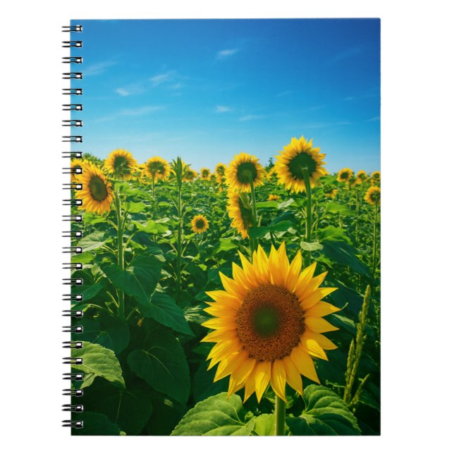 Lebhaftes Sonnenblumen-Foto Notizblock (Vorderseite)