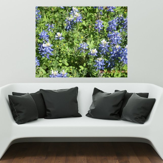 Lebhaftes Texas Bluebonnet Wall Poster (Von Creator hochgeladen)