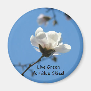 Lebt grün für blaue Himmel! Magnet Magnolienblüte