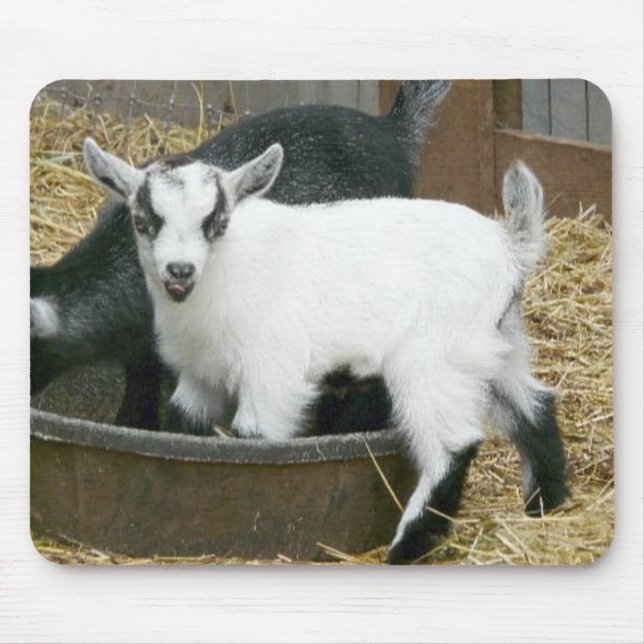 Lecker! Mousepad (Vorne)