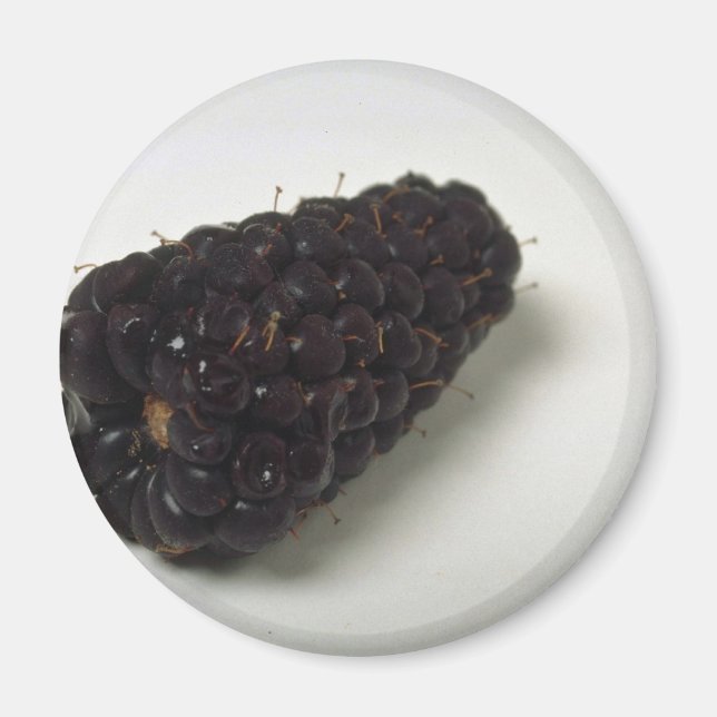 Leckere Brombeere Magnet (Vorne)