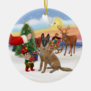 Leckerei - Belgische Malinois Keramikornament