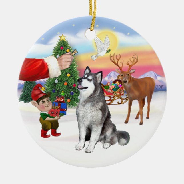 Leckerei für ein Alaskan Malamute Keramik Ornament (Vorne)