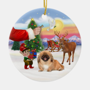Leckerei für ein Pekingese (#1) Keramikornament