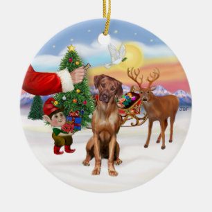 Leckerei für ein Rhodesian Ridgeback Keramikornament